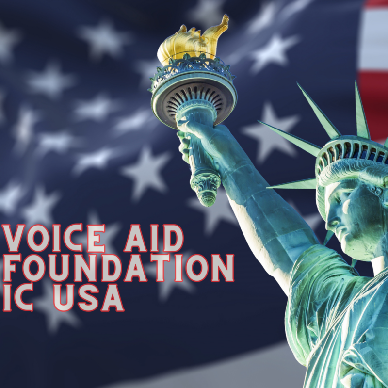 Voice Aid USA